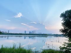 -金银湖国家城市湿地公园