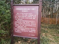 -日照海滨国家森林公园