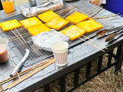 -田园东方蜜桃村的田野营地