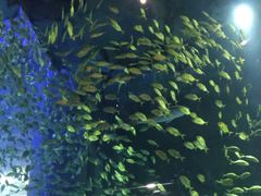 -成都浩海立方海洋公园