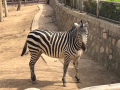 -石家庄市动物园