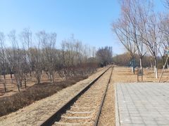 -永定河休闲森林公园