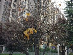 -木塔寺遗址生态公园