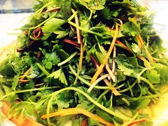 -金鼎大酒店中餐厅