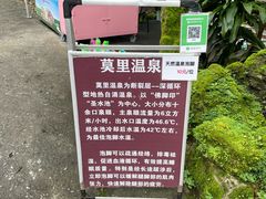 -莫里热带雨林景区
