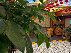 -雲际仙境足浴·影院式·养生·SPA(火车站店)