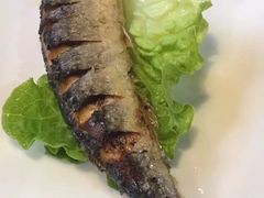 -炙韩料理·部队锅专门店