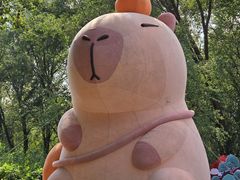 -北京野生动物园