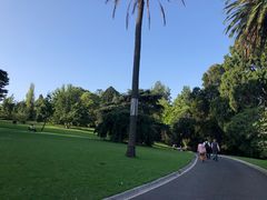 -墨尔本皇家植物园