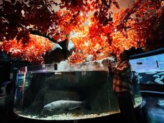 -成都浩海立方海洋公园