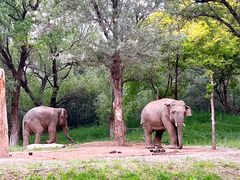 -北京野生动物园