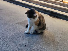 -达美乐比萨(商城路店)
