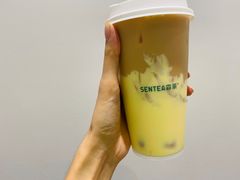 -森茶(湛江万达店)