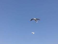 -大理洱海
