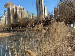 -南翠屏公园