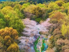 -杭州少年儿童公园