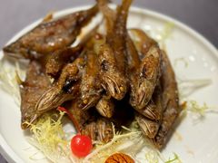 -骏莱海鲜鱼港(五角场店)