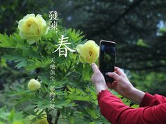 -国家植物园南园