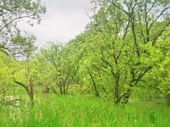 -西湖风景区-江洋畈生态公园