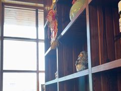 -鸟鹏烧鸟居酒屋(昌岗店)