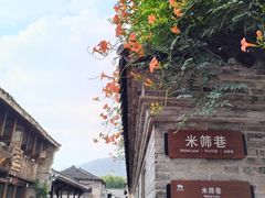 -紫阳古街