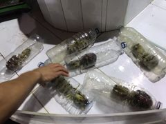 大皮皮虾-海盗餐厅