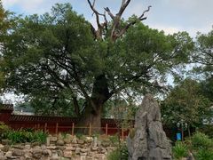 -南岳衡山风景名胜区-南岳大庙