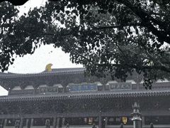 -南宁良凤江国家森林公园