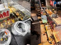 -青石桥花鸟鱼虫市场(叠翠城店)