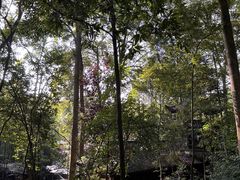 -都江堰普照寺