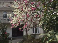 -金牛山大酒店(南北湖风景区店)