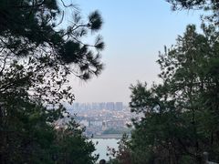 -青龙山国家森林公园