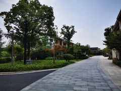 -湘湖金融镇