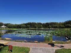 -吉林大学(前卫南区)