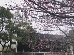 -丝绸小镇荻港古村