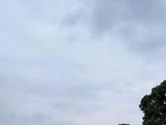 -上海月湖雕塑公园
