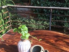 -谷咖啡·鲜花绿植花园餐厅
