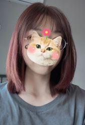 -艺之剪