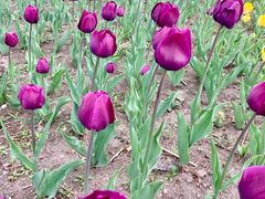 景点-长春公园(普阳街道)