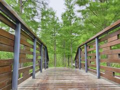 -昆山城市生态森林公园