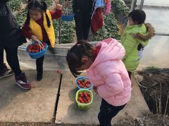 -小六农家乐(崇明西沙湿地店)