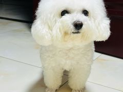 -青年公社烤鸭(滨湖银泰店)