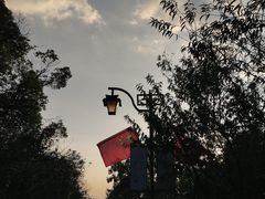 -杭州半山国家森林公园