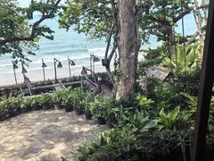 -卷心菜和避孕套餐厅(Pattaya)