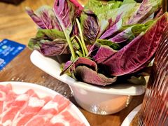 -快乐小羊(富强中路店)