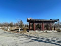 -绿野森林乐园冰雪季