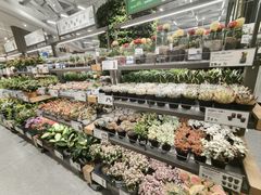 -鹿岛生活(熙地港店)