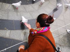 景点-南宫五洲植物乐园