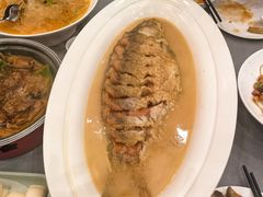 红烧黄河大鲤鱼-阿庄新豫菜(航海东路店)
