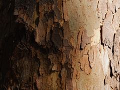 -鼓楼(西湖风景名胜区)